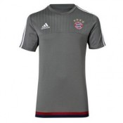 Maillot Bayern Munich Formation Gris 2015 2016